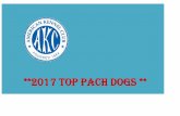 **2017 TOP PACH DOGSimages.akc.org/pdf/2017_Top_Dog_Winners_SlideShow.pdf · PACH2 Iroc Like A Boomerang RN MXP11 MXPC MJP12 MJPB2 PAX2 XFP T2BP5 CA BCAT ... MACH13 PACH Westmont