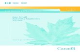 Key Small Business Statistics - Language selectionFILE/KSBS-PSRPE_July-Juillet2009_eng.pdf · Key Small Business Statistics — July 2009 Highlights Industry Canada’s definition
