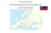 Fürstentum Liechtenstein/Pricipality of Liechtenstein€¦ · Responibilty/Aufgaben des Sachwaltervereins • Guardianship current 82 • Assessment for court approx. 30 cases /year