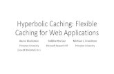 Hyperbolic Caching: Flexible Caching for Web Applications...Application Caching on the Web 4 Web Tier Storage Tier A-L M-Z Cache Tier •Web-like Request Patterns •Varying item costs