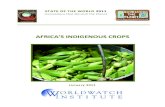 Africa's Indigenous cropsvidea.ca/wp-content/uploads/2015/07/Africas-Indigenous-crops.pdfAfrica’s%Indigenous%Crops% %%%%% % % % % % %%%%%4) Baobab% Mother)of)the)Sahel% The)basic)needs)for)human)survival)include)food,)water,)and)shelter.)Baobab,)a)tree