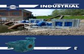 CORNELL PUMP COMPANY INDUSTRIAL - Horizontal Pumps, Industrial Pumps ... · Cornell clear liquid, solids handling, and grit/slurry pumps provide the reliability and inter-changeability