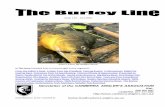 Issue 115 Oct 2016 - Canberra Anglers Associationcanberra-anglers.asn.au/blog/wp-content/uploads/2016/09/0115.pdf · Issue 115 – Oct 2016 Evan’s 51cm fat Golden Perch In This