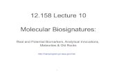 Molecular Biogeochemistry, Lecture 10 · 1999. 2. 1. · The Sterol PathwaysThe Sterol Pathways . Unique sterol configuration of living organisms . 8 sites of asymmetry 2. 8 = 256