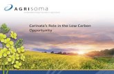Carinata’s Role in the Low Carbon Opportunityprograms.ifas.ufl.edu/media/programsifasufledu/carinata/docs/pdfs/Agrisoma...Canola Camelina Seed Yield, Kg/Ha Oil, Gallons per acre