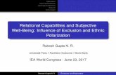 Relational Capabilities and Subjective Well-Being ... · Rakesh Gupta N. R. Exclusion and Polarization. Motivation Data and methods Descriptive statistics Results Conclusion SWB and