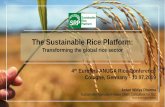 The Sustainable Rice Platform - Eurofins Scientific · 10/7/2019  · The Sustainable Rice Platform: Transforming the global rice sector Astari Widya Dharma Sustainable Agriculture