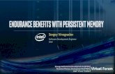 Sergey Vinogradov...Sergey Vinogradov Software Development Engineer Intel. SPDK, PMDK & Intel® VTune™ Profiler Virtual Forum Agenda 1 Introduction 2 Endurance characteristics 3