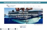 Using marine animal tracking data to help inform management in … · 2020. 3. 16. · Futurecasting ecological research: the rise of technoecology. Ecosphere 9(5):e02163. 10.1002/ecs2.2163.