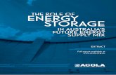 THE ROLE OF ENERGY STORAGE - ACOLA Website · 2018. 8. 2. · Energy storage is an emerging industry globally and the application of storage in high volumes for both the stationary