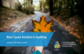 Root Cause Analysis in Audits...Root Cause Analysis –Some Risks •Challenging to demonstrate causation vs. correlation •Careful in the planning phase not to prejudge causation