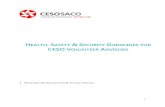Health, Safety & Security Guidelines for CESO Volunteer ... · bracelet instead of or in additional to a necklace or wrist bracelet). ... Apply insect and mosquito repellent regularly.