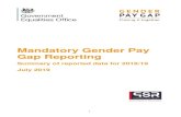 Mandatory Gender Pay Gap Reporting - gov.uk · 2019. 7. 22. · The gender pay gap (GPG) is the difference in the average hourly wage of all men and women across a workforce. If women