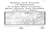 Status and Trends of Wetlands in Cape May County, New ...€¦ · New Jersey and Vicinity (1977 to 1991). U.S. Environmental Protection Agency, Region ll, Marine and Wetlands Protection