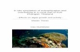 In situ simulation of eutrophication and overfishing in a ... · Thailand & tourism The Gulf of Thailand is no exception to this trend. Some of the most important tourist destinations