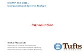 COMP 150 CSB – Computational Systems Biology · }Examples: bisphenols(BP) and polychlorinated biphenyls (PCB)}Linked to metabolic disorders (type 2 diabetes and obesity), and to