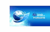 smdr international company profile - eworldtrade.com...Our B2B professional customers are from United States, Canada, Mexico, France, Brazil, Chile, Spain, Turkey, Russia, Sudan, Tanzania,