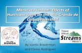 Maracuto Stream: Effects of Hurricane Irene on the Rio ... · • Hurricane Irene caused downpours on the region, flooding most of the rivers and the Rio Grande de Loiza itself in