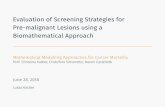Evaluation of Screening Strategies for Pre-malignant ...€¦ · Evaluation of Screening Strategies for Pre-malignant Lesions using a Biomathematical Approach MathematicalModellingApproachesforCancerMortality