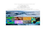 Colour and Light in the Ocean (CLEO) 2016 ESA and PML ......Colour and Light in the Ocean (CLEO) 2016 A Scientific Roadmap from the Workshop Organised by ESA and PML Held at ESRIN,