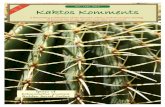 Vo. o. -ne 21 - Houston Cactus and Succulent Society · May Cactus of the Month David Van Langen Echinocereus adustus Echinocereus adustus is a small barrel shaped cylindrical cac-tus