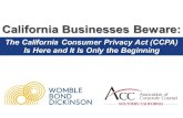 The California Consumer Privacy Act (CCPA) Is Here and It ......1. Legislative Background – and What’s Next 2. CCPA Enforcement and Litigation 3. Operational Challenges and Trends