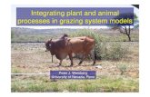 Integrating plant and animal processes in grazing system ... · • Dynamic climate variables as drivers • Climate interpolated over a spatially heterogeneous landscape • Linkages