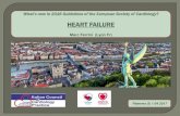 HEART FAILURE...2/ A new algorithm for the diagnosis of heart failure in the non-acute setting 3/ Prevention of Heart Failure 4/ Pharmacological treatment of symptomatic HF with reduced