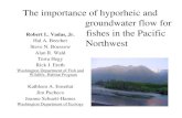 The importance of hyporheic and groundwater flow for ... · – Side-channel & especially main-channel habitats • Upslope conditions conducive to hyporheic downwelling – 24 redds