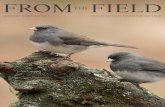 FROM THEFIELD€¦ · 3 The Volatility of Birding page 3 A story of birds, expectations and unpredictability Exploring New Zealand page 6 Investigating the coast of Kaikoura - a rocky