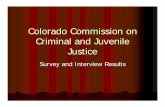 Colorado Commission on Criminal and Juvenile Justice · 1/11/2008  · More Objectives zFocus on crime prevention programming. zBalance community and victim safety. zAdult and juvenile