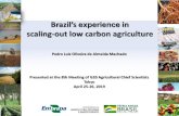 Brazil’s experience in scaling-out low carbon agriculture · Amazon deforestation control (PPCDAm); ... 2013-2014 5.882 2.695.119,38 4,50 458,20 -20,7% ... Final remarks Indicators