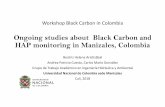 Ongoing studies about Black Carbon and HAP monitoring in .../Session1... · Andrea Patricia Cuesta, Carlos Mario González Grupo de Trabajo Académico en Ingeniería Hidráulica y