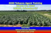 2020 Tobacco Agent Training March 13, 2020 UKREC, Princeton KY · 2020. 5. 1. · Global Burley Demand ... Industry/Market Will Provide Opportunities for Some (but not all) to Survive.