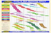 Fruit & Nut Maturity Chart - Welcome To Dave Wilson Nursery | … · 2020. 5. 14. · Fiesta Gem Summer Glory June Honey Zee Pride Earlirich Rich Lady Rich Pride Vista Sierra Rich