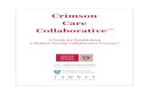 Crimson Care CollaborativeFinal).pdf · Crimson Care Collaborative: A Student-Faculty Collaborative Practice at Harvard Medical School 5 discuss the organizational structure we used