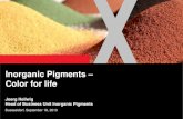 Inorganic Pigments – Color for life · Inorganic Pigments Functional Chemicals Material Protection Products Rubber Chemicals Ion Exchange Resins Leather Rhein Chemie Inorganic pigments: