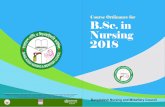 Ordinance for B. Sc. in Nursing 2018dgnm.gov.bd/sites/default/files/files/dgnm.portal.gov.bd/notices/d30… · Ordinance for B. Sc. in Nursing 1. Nursing Colleges (public & private)