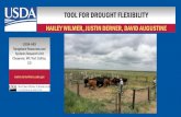 FLEXIBLE STOCKING FOR RANCHERS TOOL FOR ......FLEXIBLE STOCKING FOR RANCHERS DR. JUSTIN DERNER Justin.derner@ars.usda.gov USDA-ARS Rangeland Resources and Systems Research Unit Cheyenne,