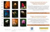 Community Health Resource Centres in Ottawa | Home - Banque … poster 2013.pdf · 2013. 4. 18. · twelve tulip photographs that will be shown at Cuisine & Passion during the Ottawa