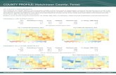County Report Hutchinson County Texas · Sex Hutchinson County Texas National National rank % change 1996-2012 Female 22.1 15.1 17.9 1644 -12.4 Male 26.4 22.1 22.2 1817 -6.8 prevalence