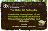 The Global Soil Partnership Sustainable Management of Soil ... A. Fuavao.pdfGSP Pillars of Action 1. Promote sustainable management of soil resources and improved global governance