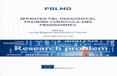 PBLMD€¦ · The continuing professional training module Problem / project-based learning is addressed to teaching staff in higher education and aims to develop the competences needed
