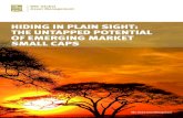 HIDING IN PLAIN SIGHT: THE UNTAPPED POTENTIAL OF …global.rbcgam.com/.../documents/pdf/whitepapers/hiding-in-plain-sig… · Hiding in Plain Sight: The Untapped Potential of Emerging