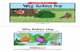 LEVELED BOOK ¢â‚¬¢ Why Robins Why Robins Hop ¢â‚¬¢ Level I 8 7 Woodpecker said, ¢â‚¬“Let robins fly all the