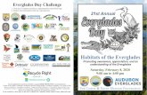 Everglades Day Challenge - United States Fish and Wildlife ... · Everglades Day Challenge 21st Annual Habitats of the Everglades Promoting awareness, appreciation, and an understanding