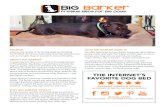 THE INTERNET’S FAVORITE DOG BED · out to engineer and manufacture a big dog bed — and Big Barker was born. Today, Shannon serves as Founder and President of Big Barker. The family