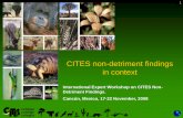 Understanding non-detriment findings€¦ · CoP advice on non-detriment findings •1998/9 –IUCN leads two workshops resulting in report CITES Scientific Authorities’ Checklist