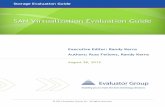 SAN Virtualization Evaluation Guide - Evaluator Group · Simplified server management Server virtualization is independent of storage virtualization. They can be deployed independently