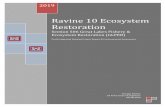 Ravine 10 Ecosystem Restoration 10... · 23/09/2019  · The term “Great Lake” includes any connecting channel, historically connected tributary, and basin of a lake specified
